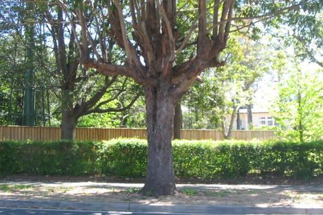 75 Churchill Ave, Strathfield, NSW 2135