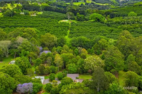 1030 Teven Rd, Tuckombil, NSW 2477