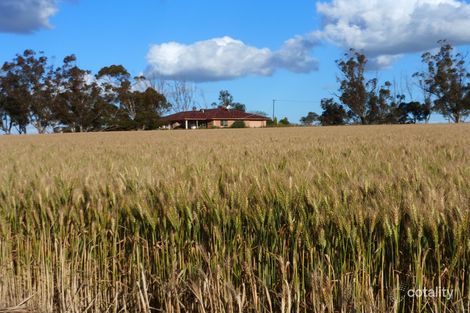 2252 Northam-Pithara Rd, Cunjardine, WA 6401