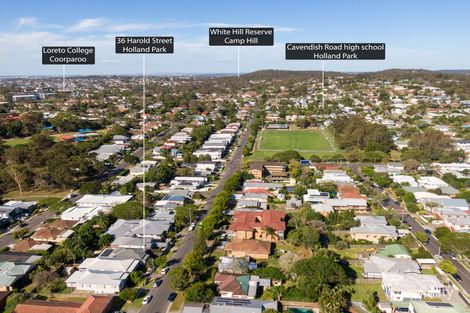Property photo of 36 Harold Street Holland Park QLD 4121