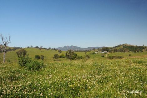 Property photo of 82 Beatties Island Road Tugrabakh NSW 2422