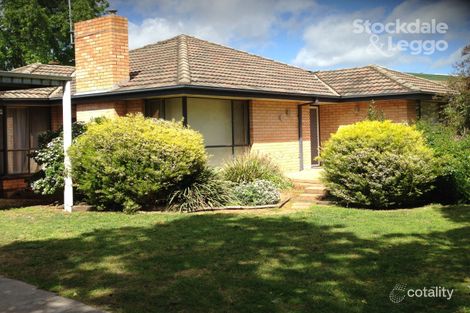 Property photo of 14 Mary Street Shepparton VIC 3630
