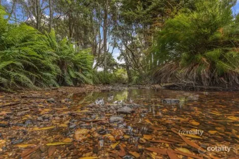 1336 Upper Natone Rd, Upper Natone, TAS 7321