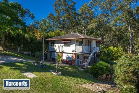 Property photo of 42 Lily Street Everton Hills QLD 4053