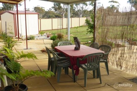 Property photo of 37 Murphy Street Corrigin WA 6375