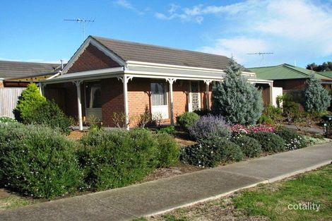 1/20 Broughton Dr, Highton, VIC 3216