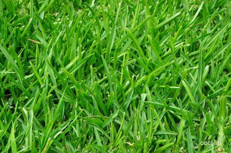 23 Jasmine Pl, Wallan, VIC 3756