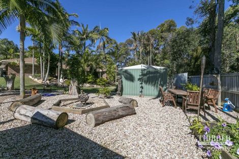 Property photo of 19 Lorikeet Drive Thornlands QLD 4164