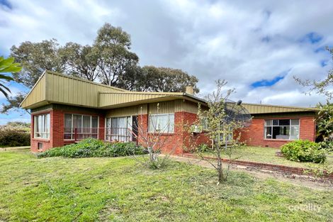 409 Olympic Hwy, Young, NSW 2594