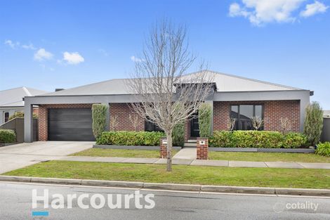19 Perendale St, Alfredton, VIC 3350