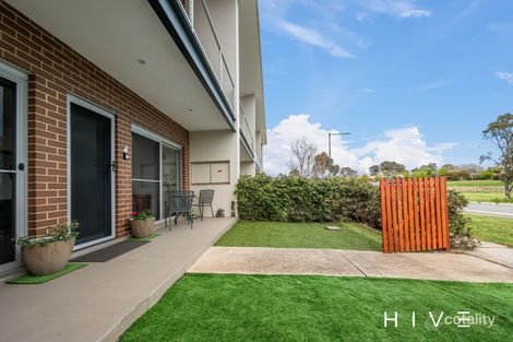 Property photo of 38 Max Purnell Street Forde ACT 2914