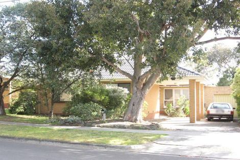 33 Mclochlan St, Mount Waverley, VIC 3149