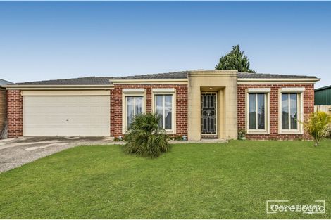 Property photo of 3 Furze Court Cranbourne West VIC 3977