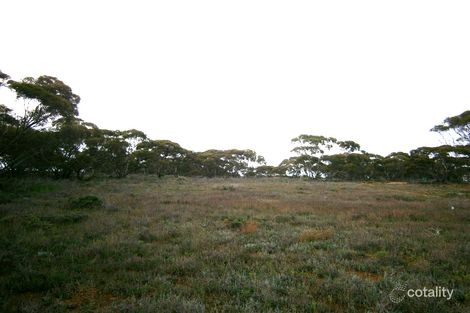 1 Morgan Rd, Taylorville, SA 5330