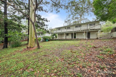 Property photo of 59 Almeida Street Indooroopilly QLD 4068
