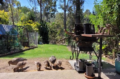 Property photo of 42 Pademelon Pass Nerang QLD 4211