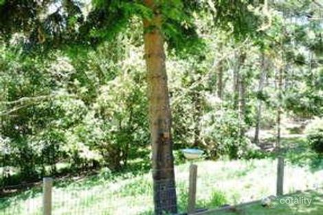 Property photo of 43 Petrie Creek Road Nambour QLD 4560