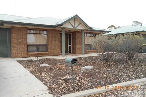 13b Grenache Ave, Berri, SA 5343