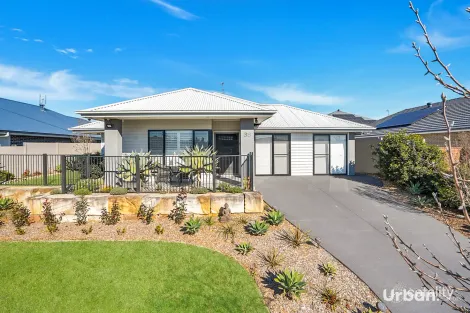Property photo of 38 Harkin Road North Rothbury NSW 2335