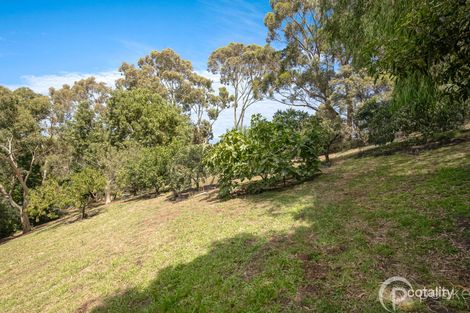 Property photo of 23 Casey Drive Berwick VIC 3806