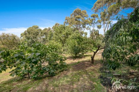 Property photo of 23 Casey Drive Berwick VIC 3806