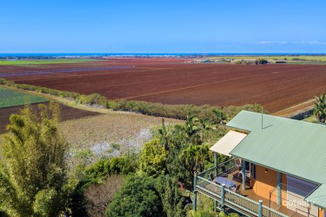 Property photo of 51 Rehbein Avenue Qunaba QLD 4670