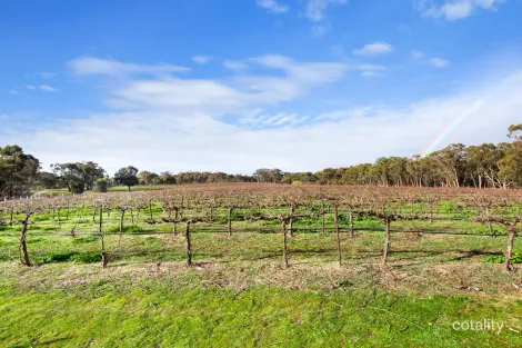 Property photo of 20 Morris Lane Avoca VIC 3467