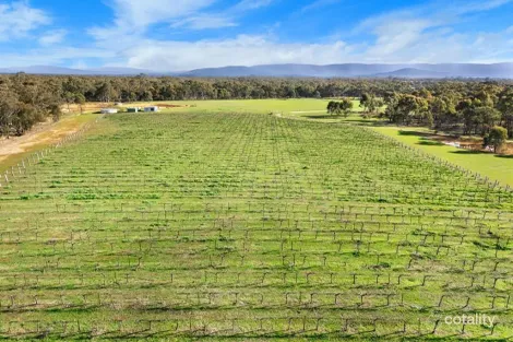 Property photo of 20 Morris Lane Avoca VIC 3467