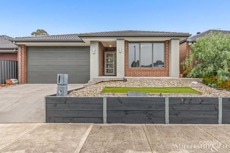 Property photo of 30 Friesian Street Mernda VIC 3754