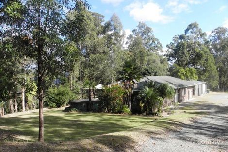 Property photo of 17 Wildlife Court Wonglepong QLD 4275
