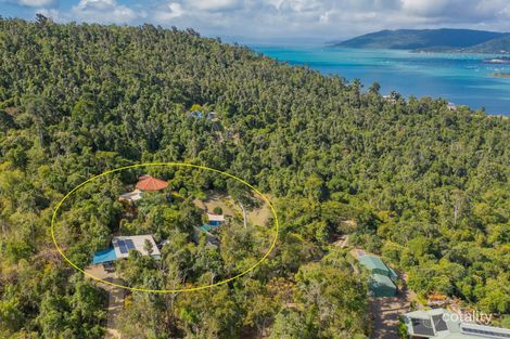 Property photo of 6 Gumtree Close Woodwark QLD 4802