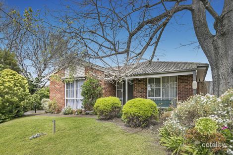 5/6-12 Williams St, Frankston, VIC 3199
