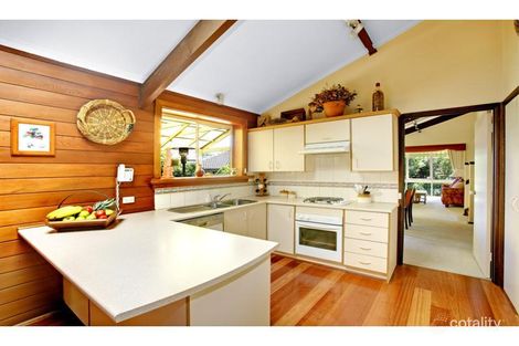 Property photo of 16 Holyrood Crescent Ringwood VIC 3134