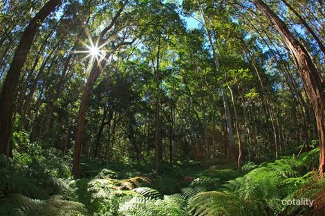 Property photo of 5 Crab Apple Court Black Mountain QLD 4563