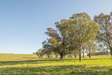 61 Cattle St, Binalong, NSW 2584