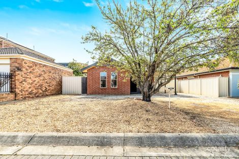 Property photo of 34 Alfred Avenue Seaton SA 5023
