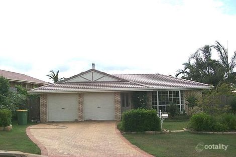 17 Fossicker Cct, Springfield, QLD 4300
