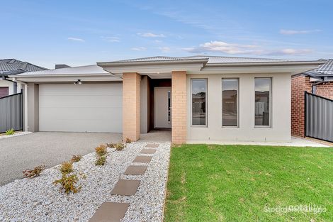 Property photo of 38 Angophora Crescent Craigieburn VIC 3064