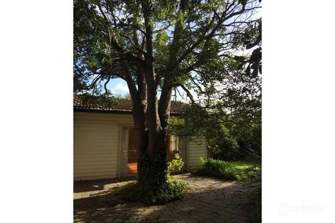 Property photo of 13 Albany Crescent Surrey Hills VIC 3127