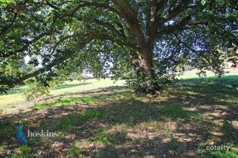 Property photo of 109 Homestead Road Wonga Park VIC 3115