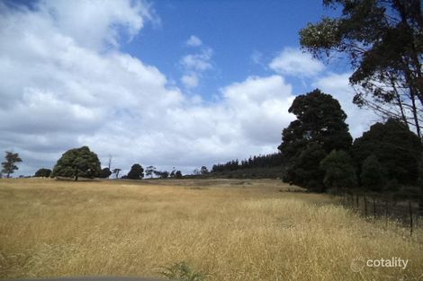 75 Barnbougle Rd, North Scottsdale, TAS 7260