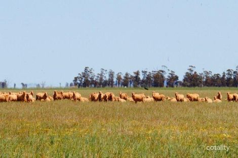 Bonnie Rock Lake Brown Rd, Mukinbudin, WA 6479