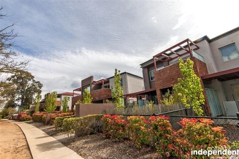 4/17 Majura Ave, Dickson, ACT 2602