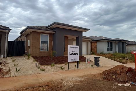 41 Adelong Bvd, Cobblebank, VIC 3338