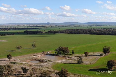 5347 Newell Hwy, Ardlethan, NSW 2665