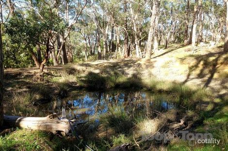 Property photo of 115 Sheoak Road Belair SA 5052