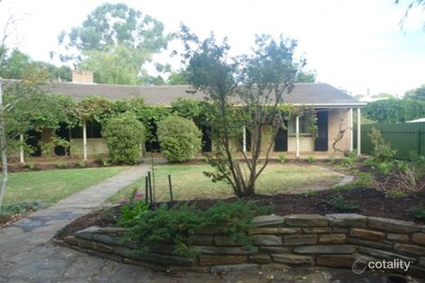 Property photo of 7 Malcolm Street Millswood SA 5034