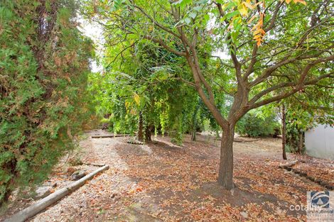 Property photo of 12 Bridge Road Beechworth VIC 3747