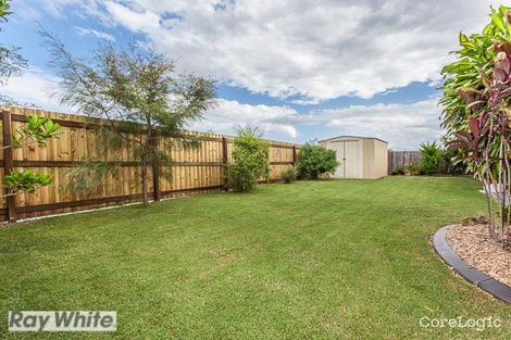 Property photo of 14 Turquoise Crescent Griffin QLD 4503