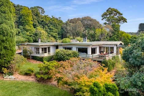 167 Point Leo Rd, Red Hill South, VIC 3937